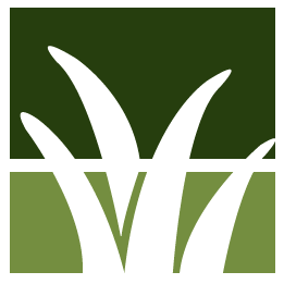 Millsboro Lawn Clean Up