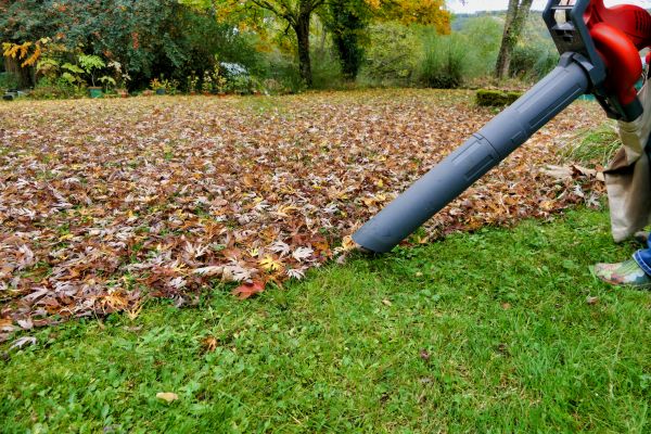 Leaf Vacuuming Service in Millsboro