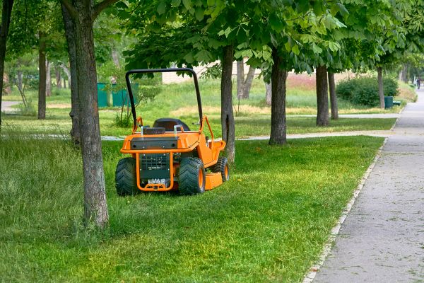 Landscaping Cleanup Service in Millsboro