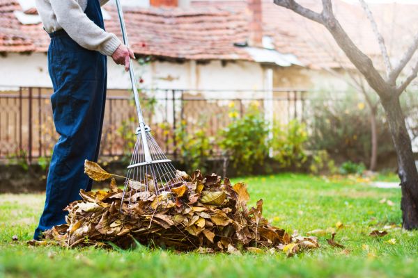 Spring Lawn Cleanup in Millsboro
