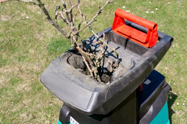 Brush Cleanup Service in Millsboro