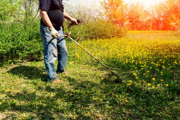 Yard Clearing Service in Millsboro
