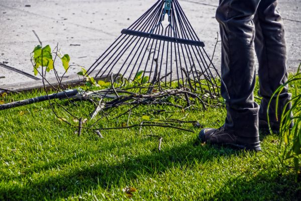 Yard Debris Cleanup in Millsboro