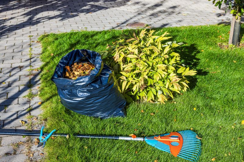 Seasonal Cleanup