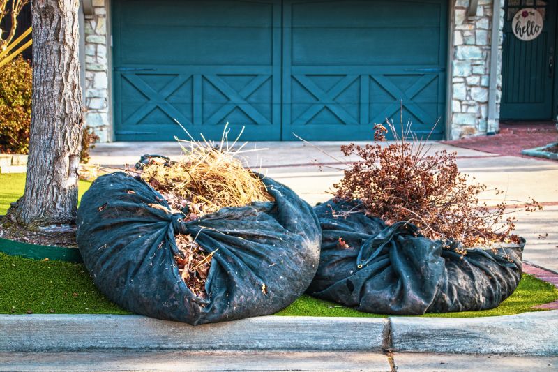 Lawn Debris Collection