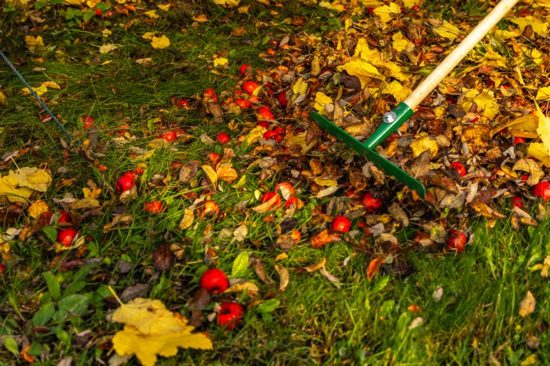 Leaf Raking Service
