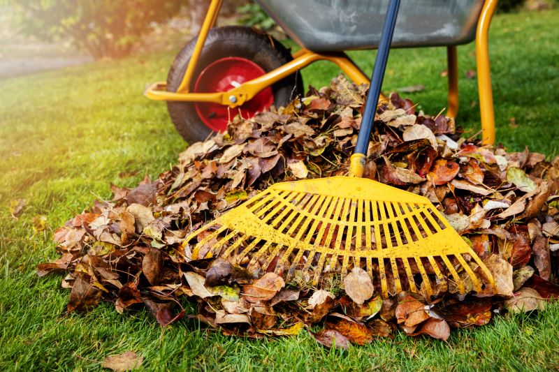 Yard Raking